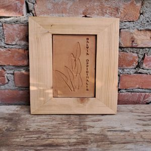 Quadretti erbe legno-ceramica